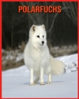 Polarfuchs: Super Spaß Fakten und erstaunliche Bilder By Veronica Robinson Cover Image