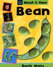 Bean Cover Image
