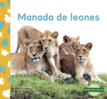 Manada de Leones (Lion Pride) By Julie Murray Cover Image