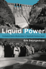Liquid Power: Contested Hydro-Modernities in Twentieth-Century Spain (Urban and Industrial Environments) Cover Image