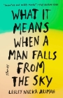 What It Means When a Man Falls from the Sky: Stories By Lesley Nneka Arimah Cover Image