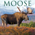 Moose 2025 12 X 12 Wall Calendar Cover Image