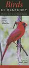 Birds of Kentucky By Greg R. Homel, Quick Reference Publishing (Prepared by) Cover Image