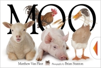 Moo By Matthew Van Fleet, Brian Stanton (By (photographer)) Cover Image