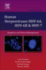 Human Herpesviruses Hhv-6a, Hhv-6b and Hhv-7: Diagnosis and Clinical Management Volume 12 (Perspectives in Medical Virology #12) Cover Image