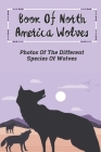 Book Of North America Wolves: Photos Of The Different Species Of Wolves: Wolf Lovers By Jesse Selph Cover Image