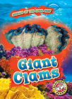 Giant Clams By Kate Moening Cover Image