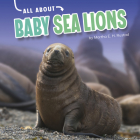 All about Baby Sea Lions By Martha E. H. Rustad Cover Image