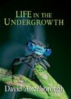 Life in the Undergrowth By David Attenborough Cover Image
