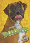 Boxers (Awesome Dogs) Cover Image