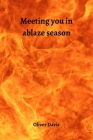 Meeting you in ablaze season Cover Image