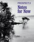 Prospect.3: Notes for Now By Franklin Sirmans, Christine Y. Kim (Contributions by), Rita Gonzalez (Contributions by), Mary McCay (Contributions by), Rickey Laurentiis (Contributions by) Cover Image