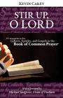 Stir Up, O Lord: A Companion to the Collects, Epistles, and Gospels in the Book of Common Prayer By Kevin Carey Cover Image