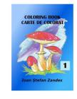 Coloring Books By Sorinel Balan (Editor), Ioan Stefan Zandes Cover Image