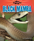 Black Mamba By Craig Boutland Cover Image