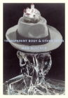 Transparent Body & Other Texts Cover Image