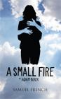 A Small Fire Cover Image
