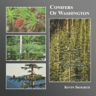 Conifers of Washington By Kevin Skolrud Cover Image