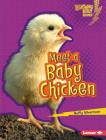 Meet a Baby Chicken By Buffy Silverman Cover Image