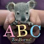 ABC ZooBorns! By Andrew Bleiman, Chris Eastland Cover Image