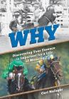 Why: Discovering Your Essence Is Important for a Life of Meaning Cover Image