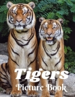 Tigers Picture Book: Picture Book for Alzheimer's Patients and Seniors with Dementia (Gift Book) Giant Cat Predator Animal Safari Feline Gi By Simeon Toluwase Cover Image