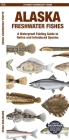 Alaska Freshwater Fishes: A Waterproof Folding Guide to Native and Introduced Species By Matthew Morris, Waterford Press, Raymond Leung (Illustrator) Cover Image