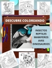 Descubre Coloreando0 Cover Image