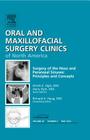 Surgery of the Nose and Paranasal Sinuses: Principles and Concepts, an Issue of Oral and Maxillofacial Surgery Clinics: Volume 24-2 (Clinics: Dentistry #24) By Orrett E. Ogle, Harry Dym Cover Image