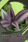 Persian Shield Plant: Plant Guide Cover Image