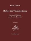 Before the Thunderstorm: Cantata for soprano & chamber ensemble By Elena Firsova Cover Image