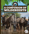 A Confusion of Wildebeests Cover Image