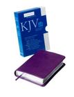 Pocket Reference Bible-KJV By Baker Publishing Group (Manufactured by) Cover Image