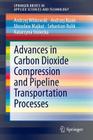 Advances in Carbon Dioxide Compression and Pipeline Transportation Processes (Springerbriefs in Applied Sciences and Technology) Cover Image