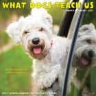 What Dogs Teach Us 2022 Wall Calendar Cover Image