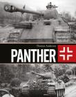Panther By Thomas Anderson Cover Image