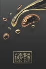 Agenda 18 Mois 2020-2021: or rose liquide - gestion élégante du temps des affaires - Janvier 2020 - juin 2021 - Planificateur - Calendrier quoti Cover Image