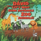 David Let's Meet Some Adorable Zoo Animals!: Personalized Baby Books with Your Child's Name in the Story - Zoo Animals Book for Toddlers - Children's By Chilkibo Publishing Cover Image