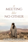A Meeting Like No Other: A Modern-Day Woman at the Well By Audrey Kendrick Cover Image