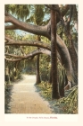 Vintage Journal Jungle, Palm Beach, Florida By Found Image Press (Producer) Cover Image