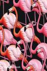 Password Book: Include Alphabetical Index with Flamingo on Black By Shamrock Logbook Cover Image