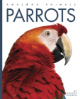 Parrots (Amazing Animals) By Valerie Bodden Cover Image