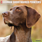 Just German Shorthaired Pointers 2023 Wall Calendar By Willow Creek Press Cover Image