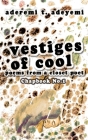 Vestiges of Cool By Aderemi T. Adeyemi Cover Image