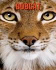 Bobcat: Super Fun Facts And Amazing Pictures By Lauren Massarella Cover Image
