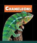 Chameleons (Animals of the Rain Forest) By Peter Murray Cover Image