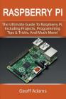 Raspberry Pi: The ultimate guide to raspberry pi, including projects, programming tips & tricks, and much more! By Geoff Adams Cover Image