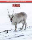 Reno: Datos e imágenes increíbles de los Reno By Maria Polansky Cover Image