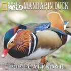 Mandarin Duck Calendar 2022: MANDARIN DUCK calendar 2022 