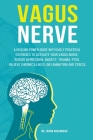 Vagus Nerve: A healing power guide with daily practical exercises to activate your vagus nerve. Reduce depression, anxiety, trauma, By Jason Rosenberg Cover Image